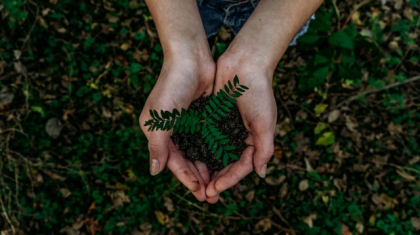 noah-buscher-x8ZStukS2PM-unsplash